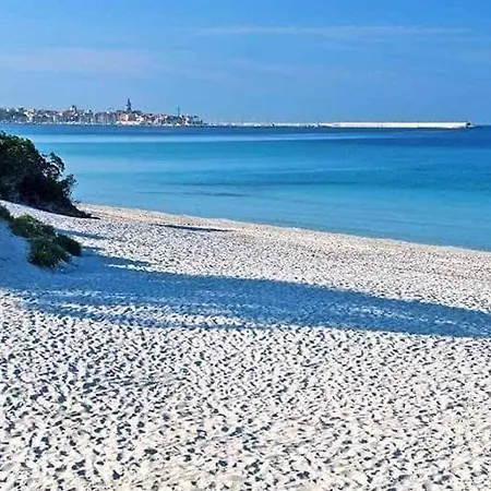 Elisart 2 Alghero